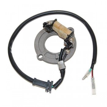 Stator ELECTROSPORT for HONDA CR 80 and 85 from 1980 to 2004 011502 Electrosport € 79.90