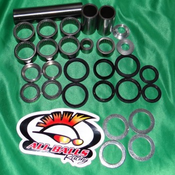 Swingarm repair kit ALL BALLS for YAMAHA YZ 125 and 250 from 2006 to 2018 27-1170 ALL BALLS 74,90 €