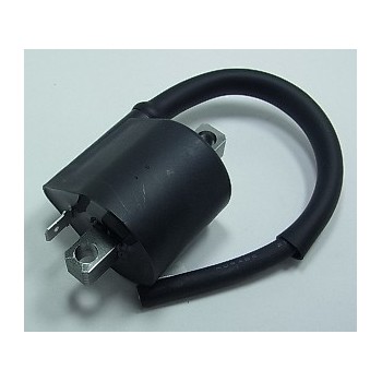 Ignition coil BIHR for KAWASAKI KX 250 from 1995, 1996, 1997, 1998, 1999, 2000, 2001, 2002