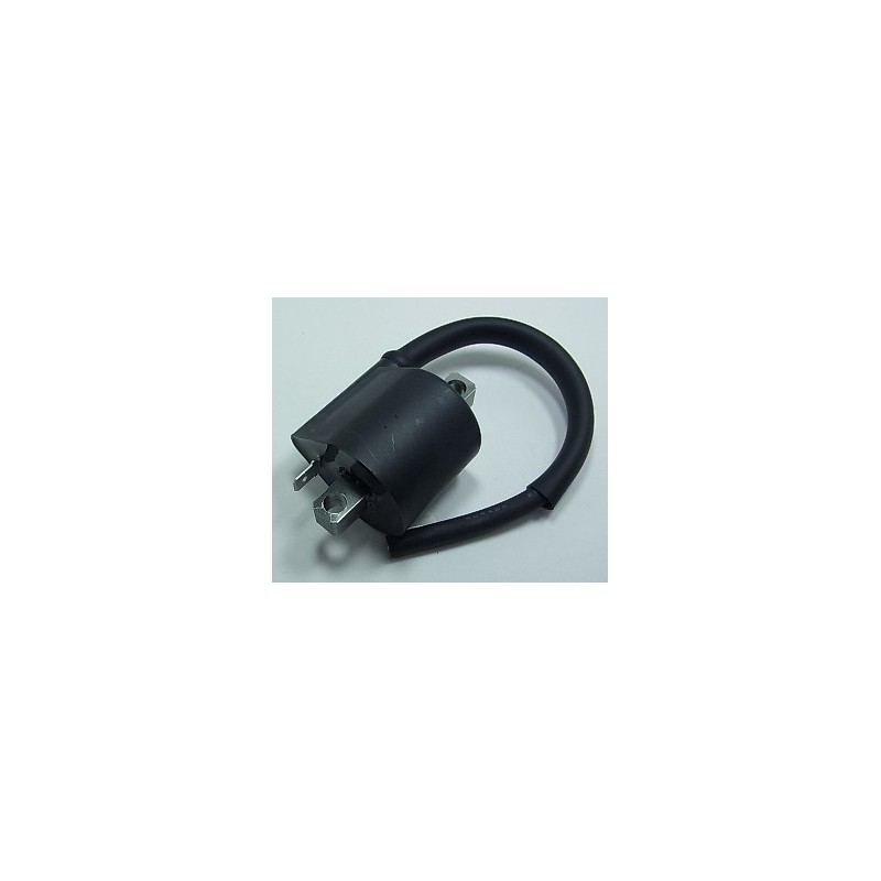 Ignition coil BIHR for KAWASAKI KX 250 from 1995, 1996, 1997, 1998, 1999, 2000, 2001, 2002