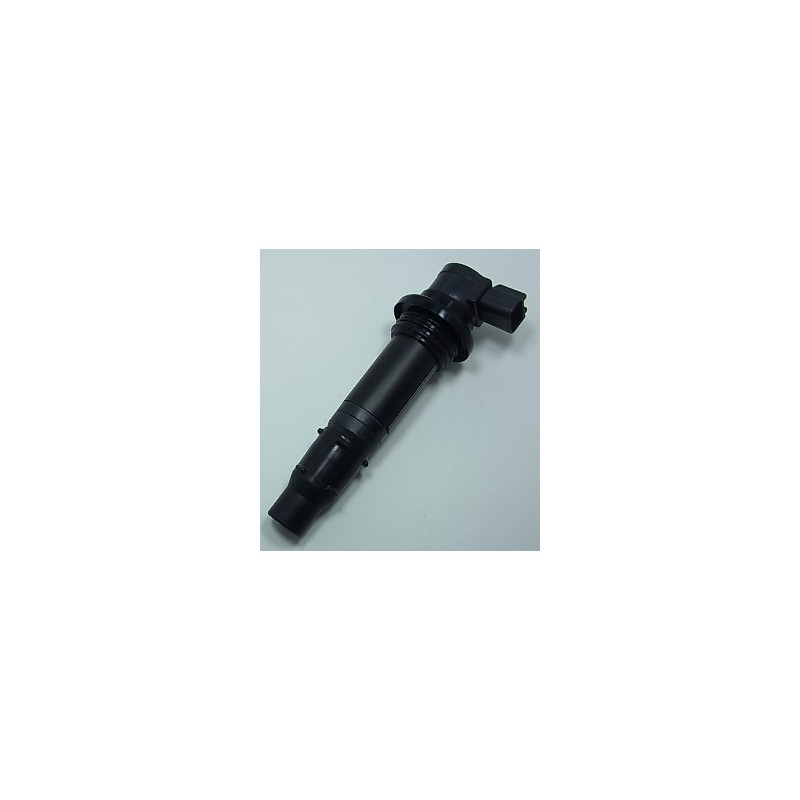 Ignition coil BIHR for YAMAHA WR 250 from 2008, 2009, 2010, 2011, 2012, 2013 and 2014