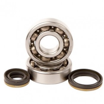 Crankshaft bearing HOT RODS for SUZUKI RM 125 from 2001, 2002, 2003, 2004, 2005, 2006, 2007 and 2008
