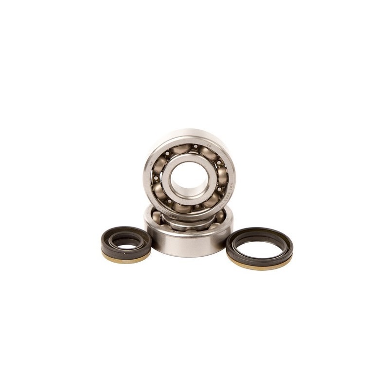 Crankshaft bearing HOT RODS for SUZUKI RM 125 from 2001, 2002, 2003, 2004, 2005, 2006, 2007 and 2008