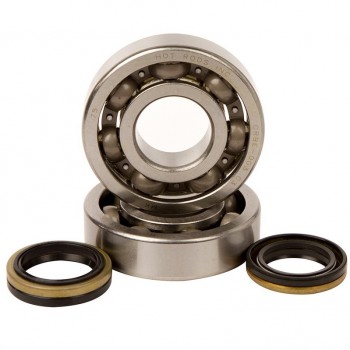 Crankshaft bearing HOT RODS for SUZUKI RM 250 from 2005, 2006, 2007 and 2008