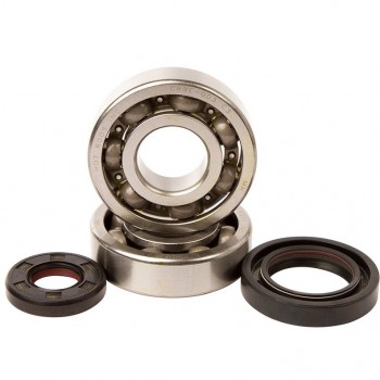 Crankshaft bearing HOT RODS for YAMAHA YZ 250 from 1999 to 2000