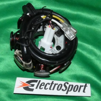 Stator ELECTROSPORT pour KTM EXC, SX 250, 400, 450, 525, 530 de 2000, 2001, 2002, 2003, 2008, 2009, 2010 et 2011