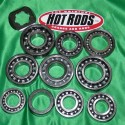 Hot Rods gearbox bearing kit for YAMAHA 350 Raptor, Warrior from 1998 to 2013