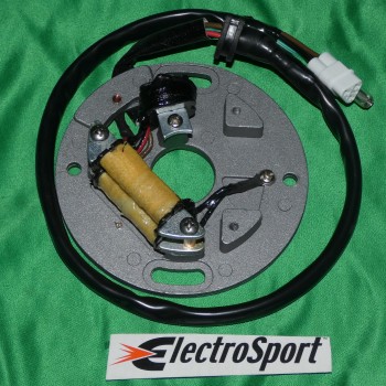 Stator ELECTROSPORT for YAMAHA YZ WR 250 from 1990, 1991, 1992, 1993, 1994, 1995, 1996 and 1997