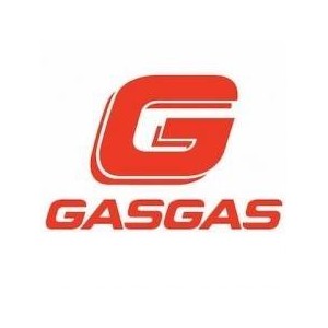 GAS GAS engine spare part category
